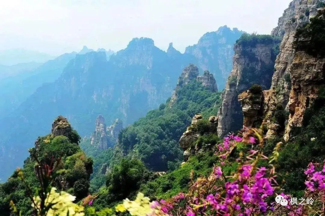 涿州生活百科_涿州本地生活群_涿州生活频道直播