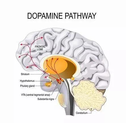 催产的运动_运动催产几天见效_运动催产有用吗