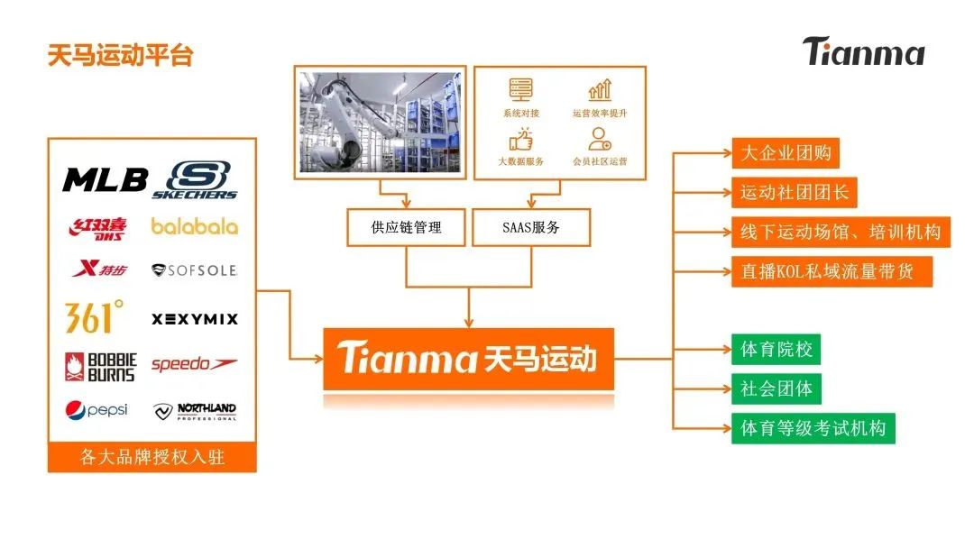 连云港第五届业余篮球冠军_连云港篮球运动员_连云港篮球队