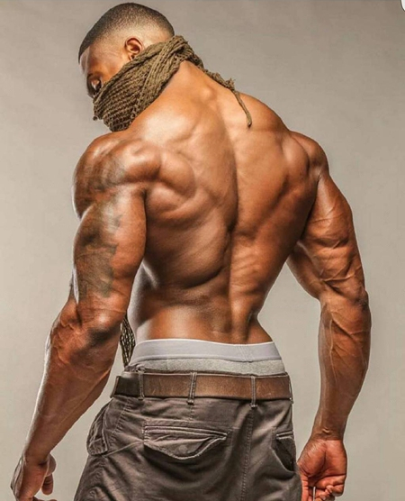 背部肌肉健身_后背肌肉健身_后背健身