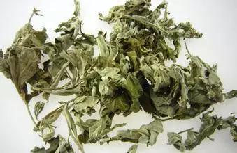亚健康原理_亚健康和健康的原则_简单阐述亚健康的概念及特点