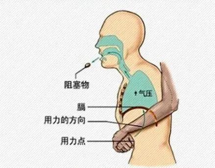 基本法律知识和常识_基本护肤常识_幼儿园小朋友会的基本常识