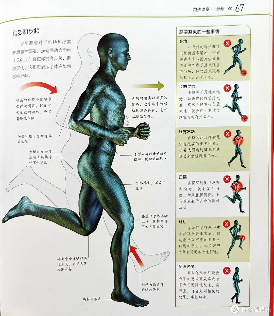 氧运动有哪些项目_运动时吸氧的好处_来个有氧运动五