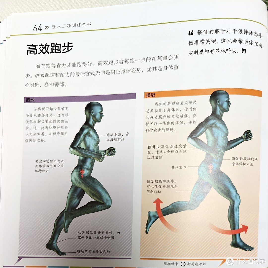 氧运动有哪些项目_运动时吸氧的好处_来个有氧运动五