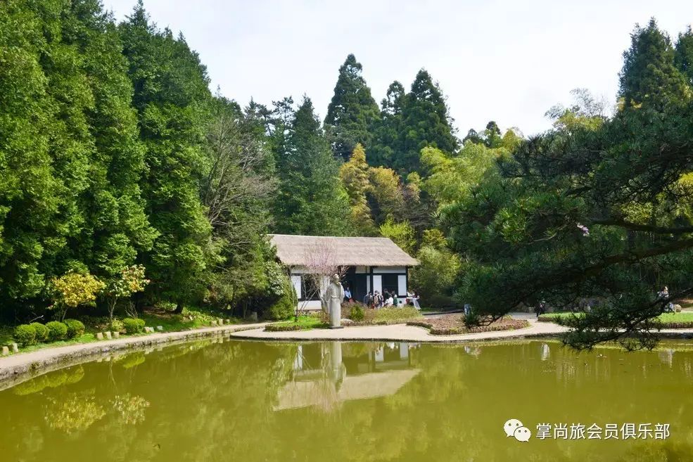 游泳卡退卡技巧_游泳卡图片大全0031_游泳卡