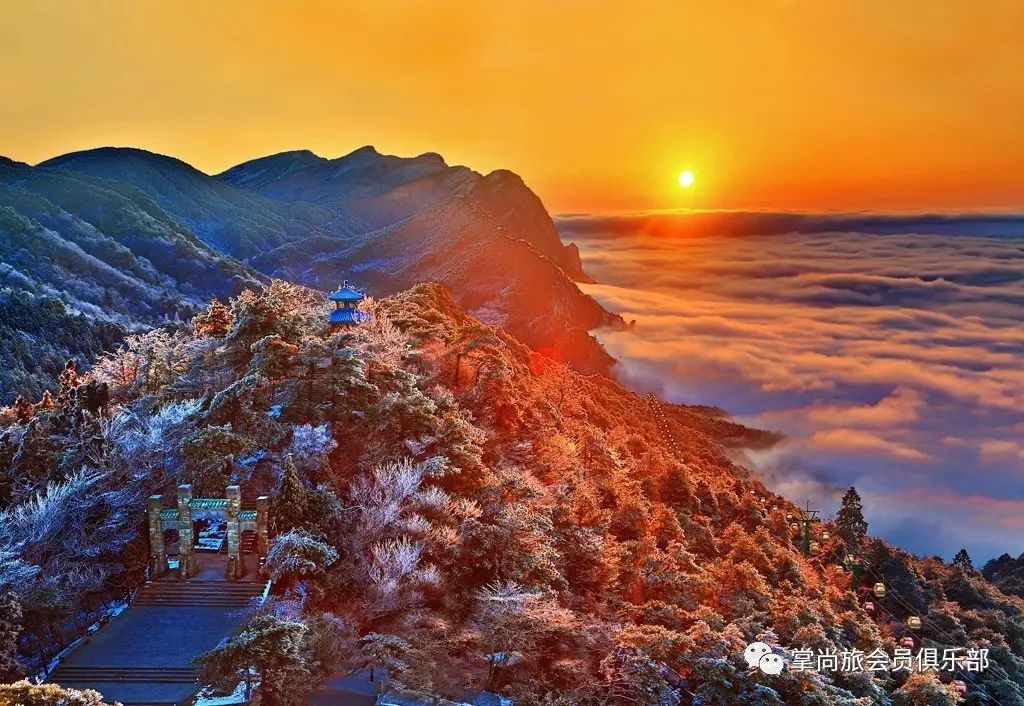 游泳卡退卡技巧_游泳卡图片大全0031_游泳卡