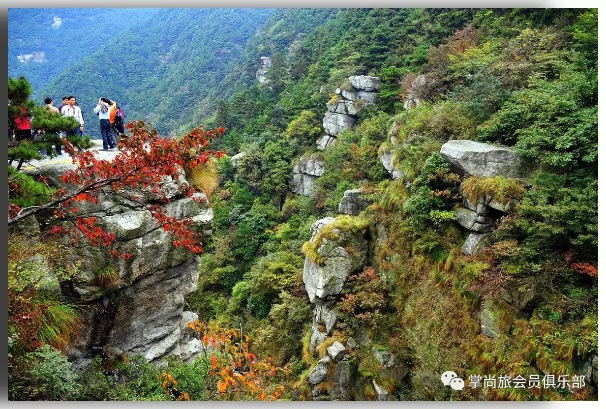 游泳卡_游泳卡图片大全0031_游泳卡退卡技巧