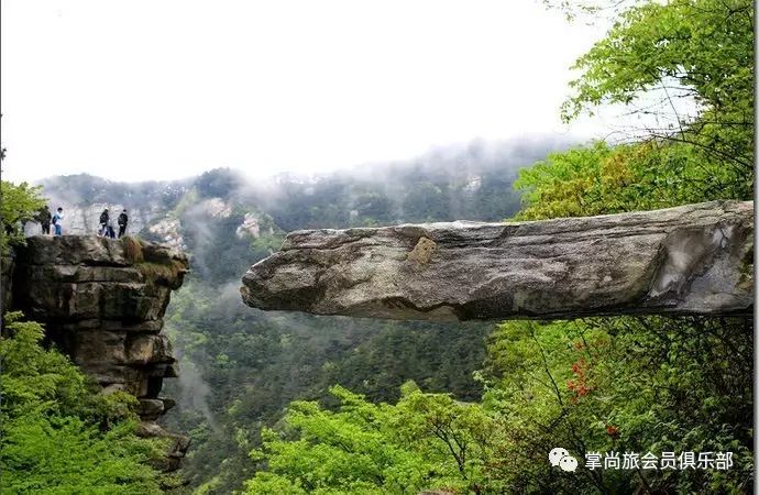 游泳卡退卡技巧_游泳卡图片大全0031_游泳卡