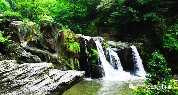游泳卡_游泳卡退卡技巧_游泳卡图片大全0031