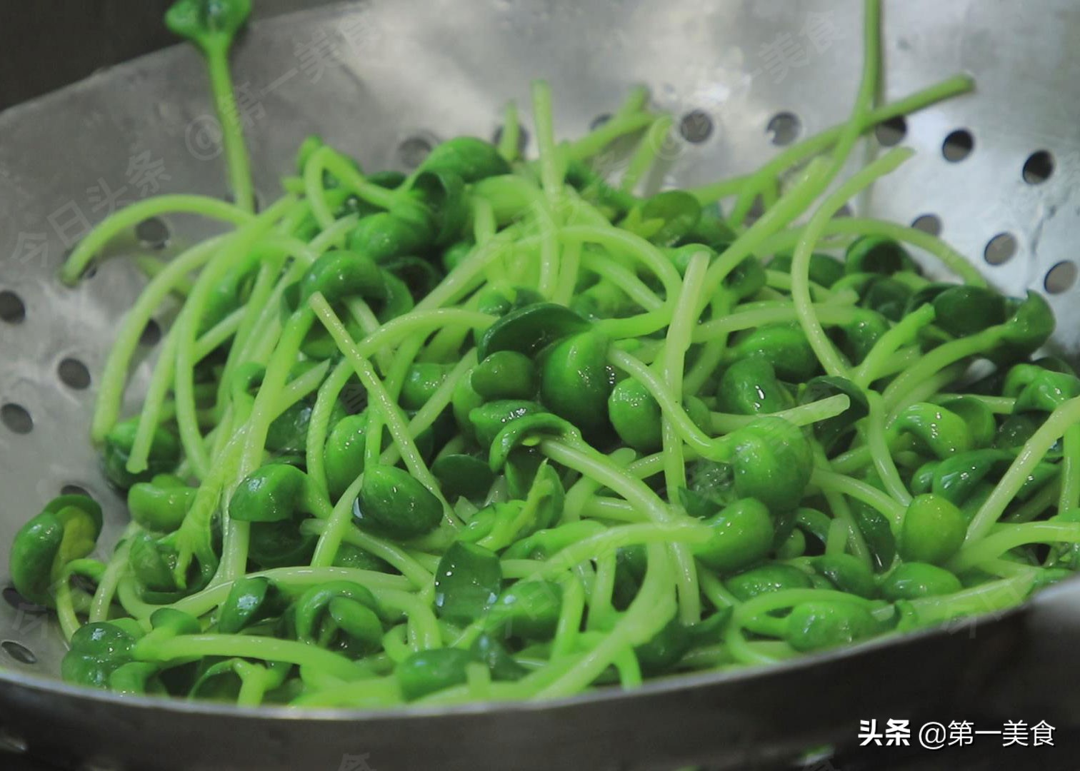 营养餐带量食谱制定_餐营养餐_营养餐带饭