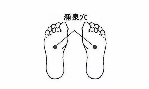 有氧运动提高阳气代谢_运动氧供应与代谢_氧气新陈代谢