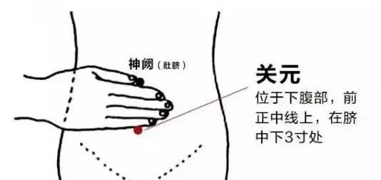 氧气新陈代谢_运动氧供应与代谢_有氧运动提高阳气代谢