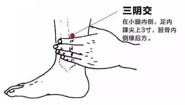 运动氧供应与代谢_有氧运动提高阳气代谢_氧气新陈代谢